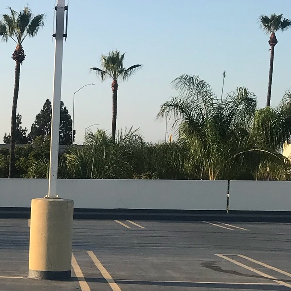 Meet your Posher, Sandra - Picture 1 of 1